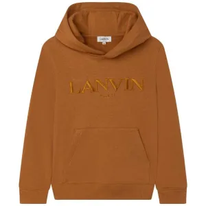 Boys Brown Logo Hoodie