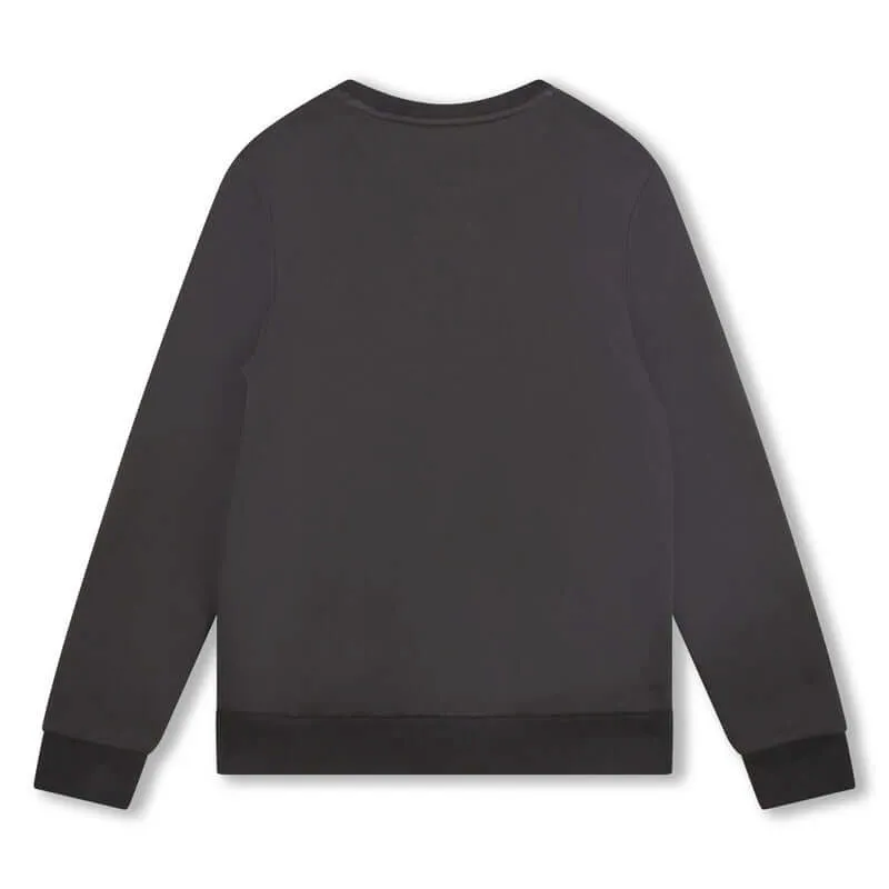 Boys Grey Sweatshirt