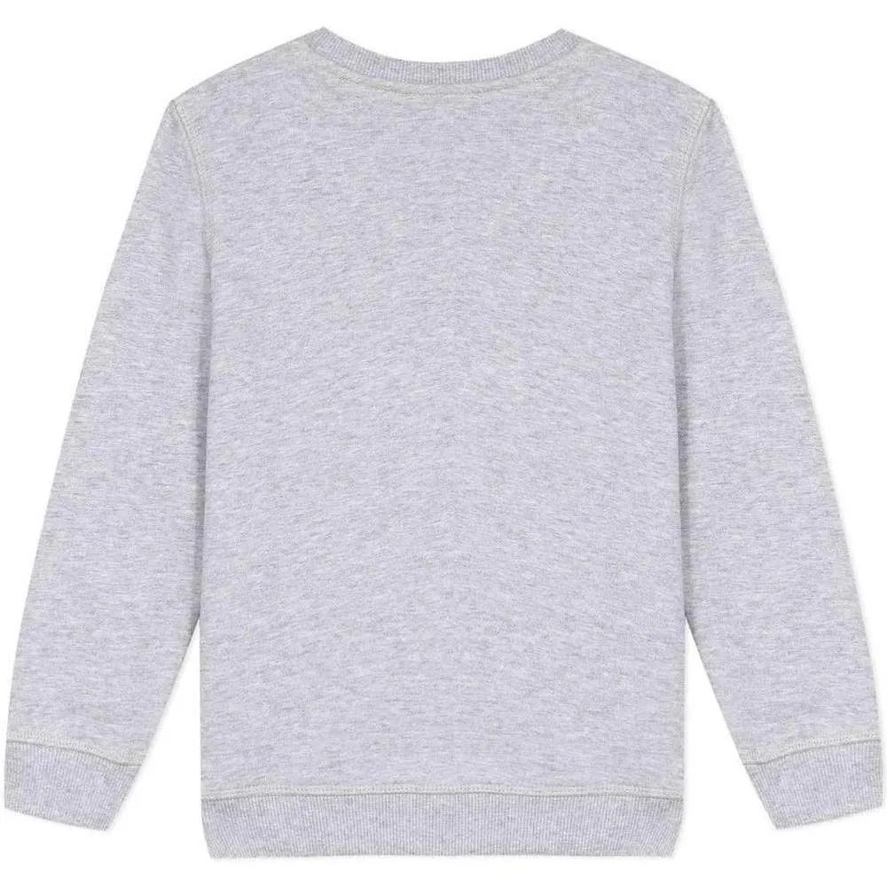 Boys Grey Tiger Sweatshirt