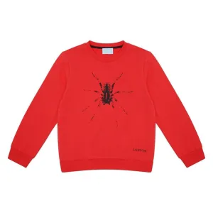 Boys Red Sweater