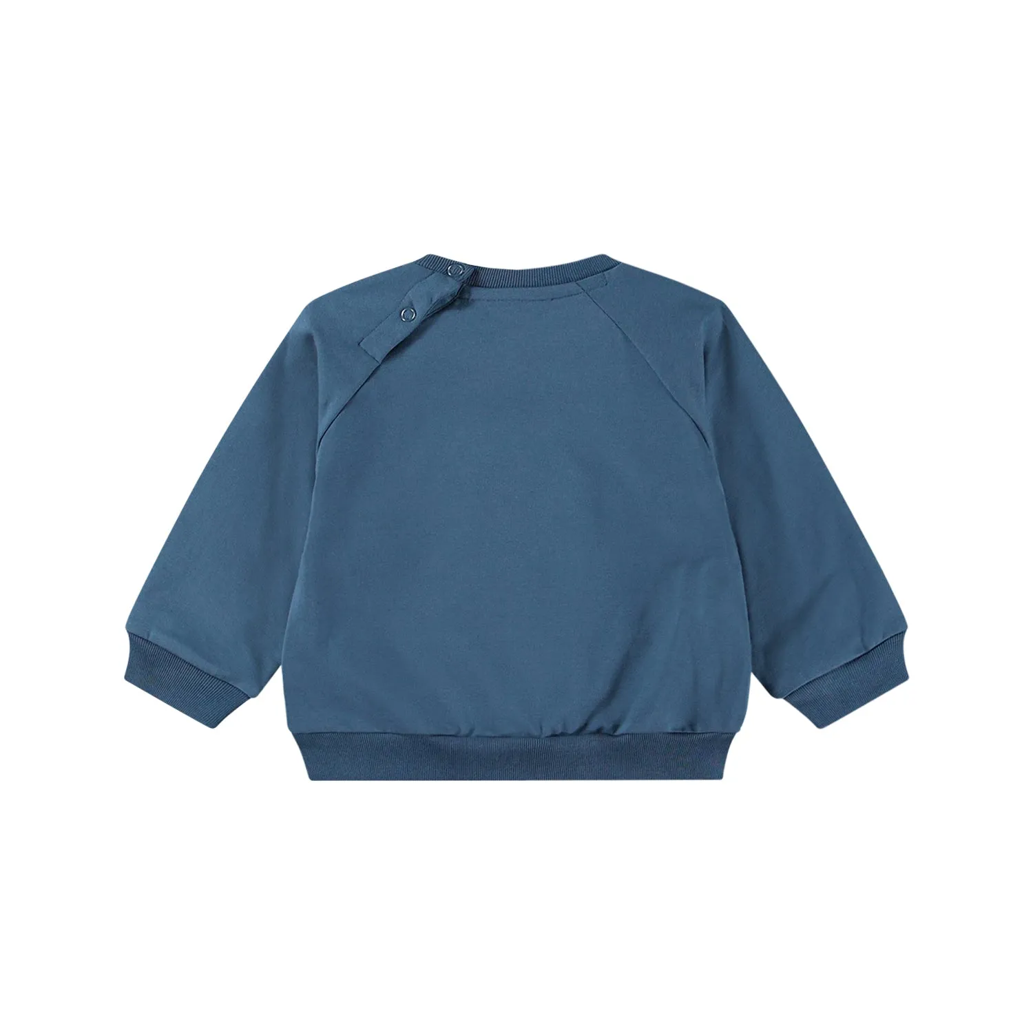 Calm Fjord Balloon Sweatshirt