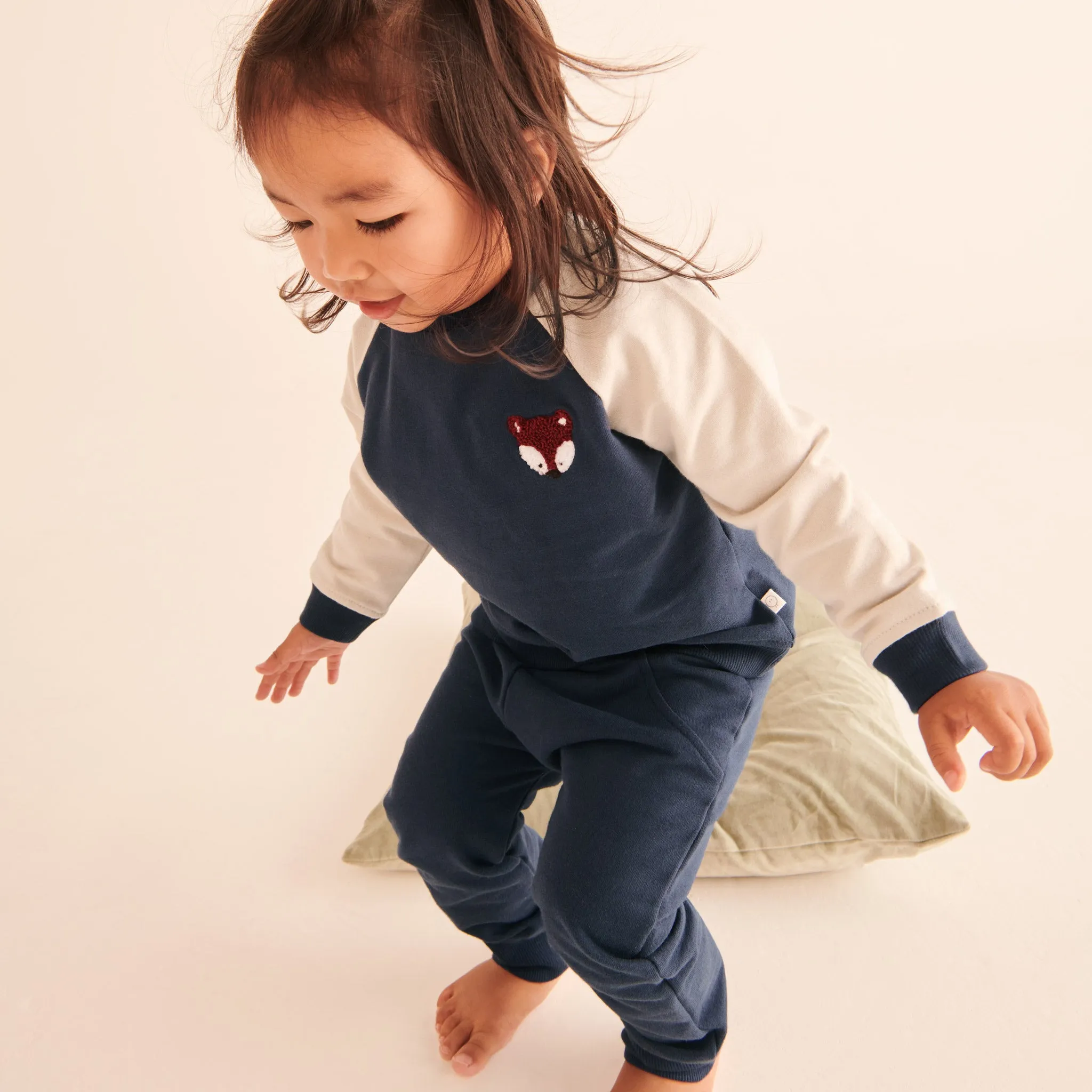 Fox Sweatshirt & Joggers Outfit