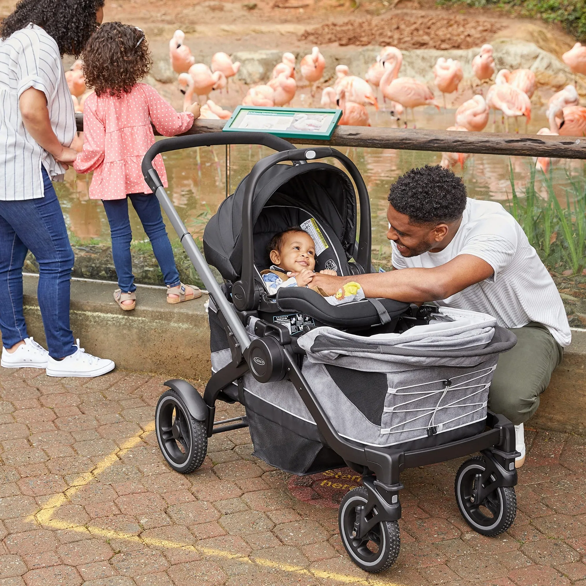 GRACO Modes Adventure Stroller Wagon - Teton