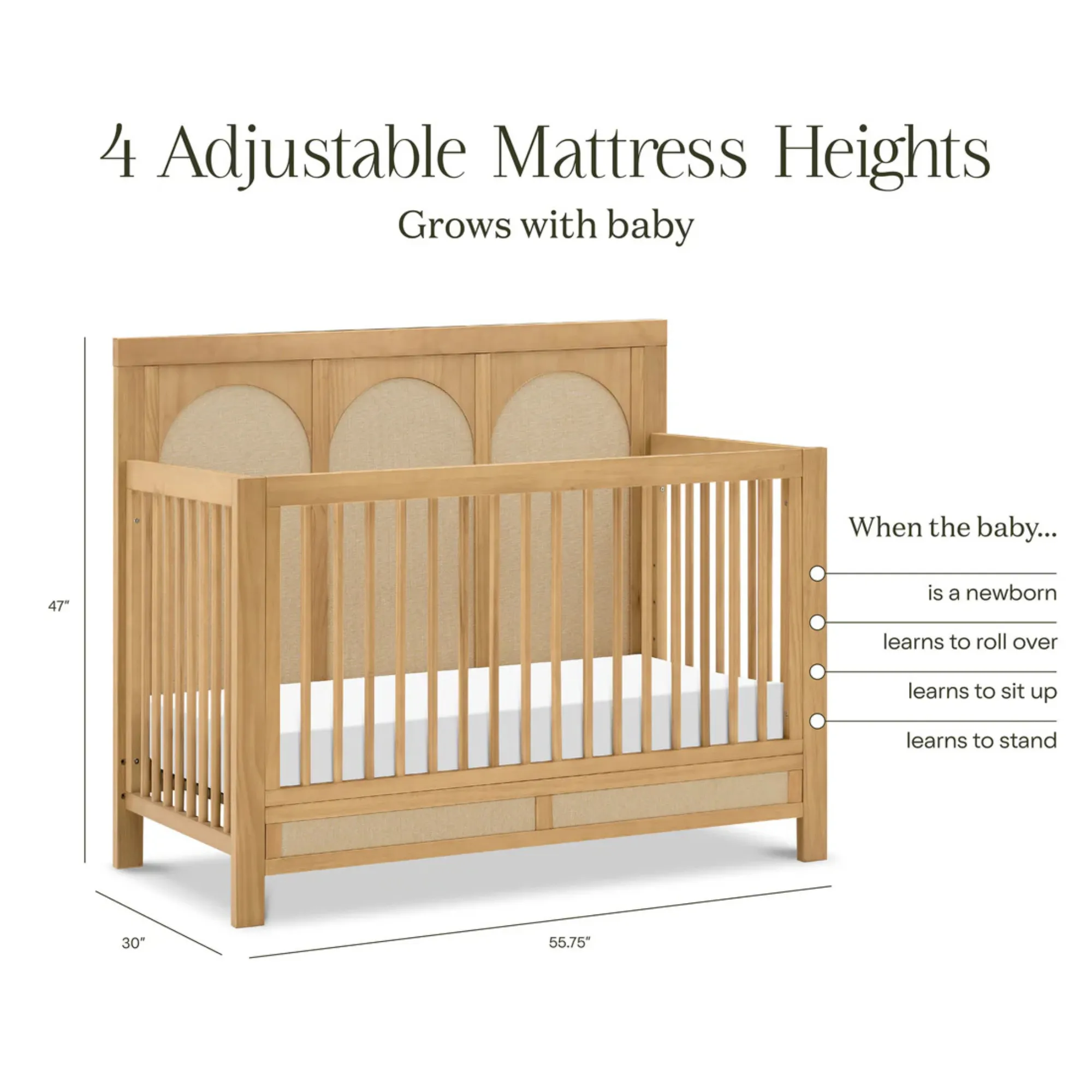 NAMESAKE Eloise 4-in-1 Convertible Crib