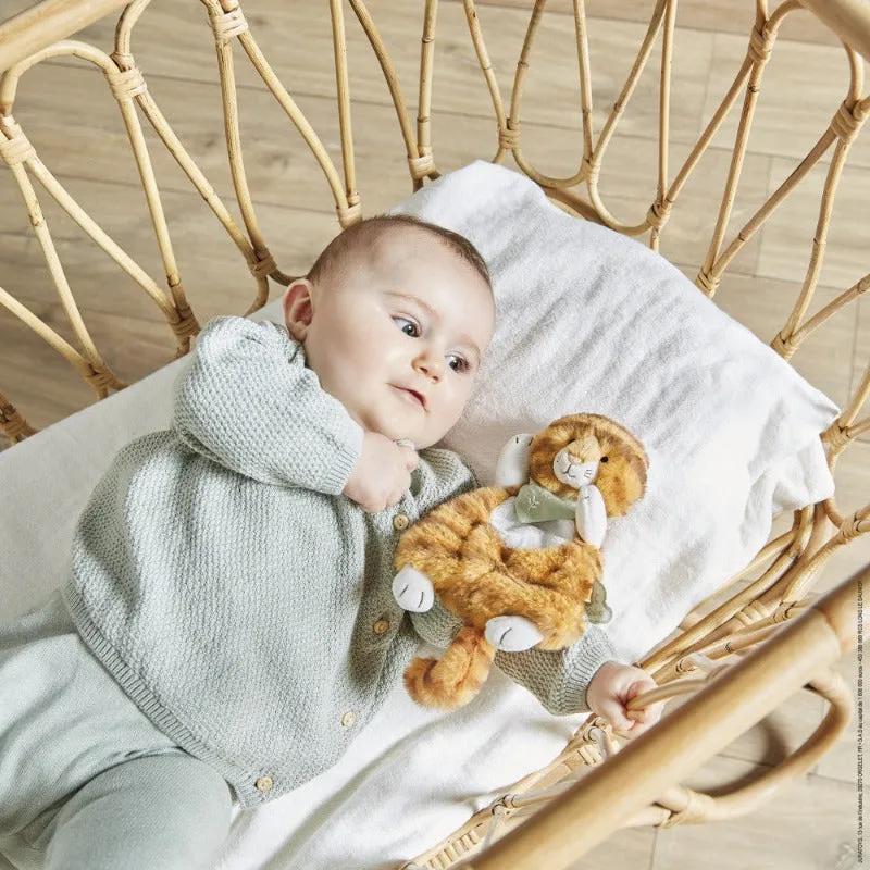 Papaye Tiger Baby Comforter