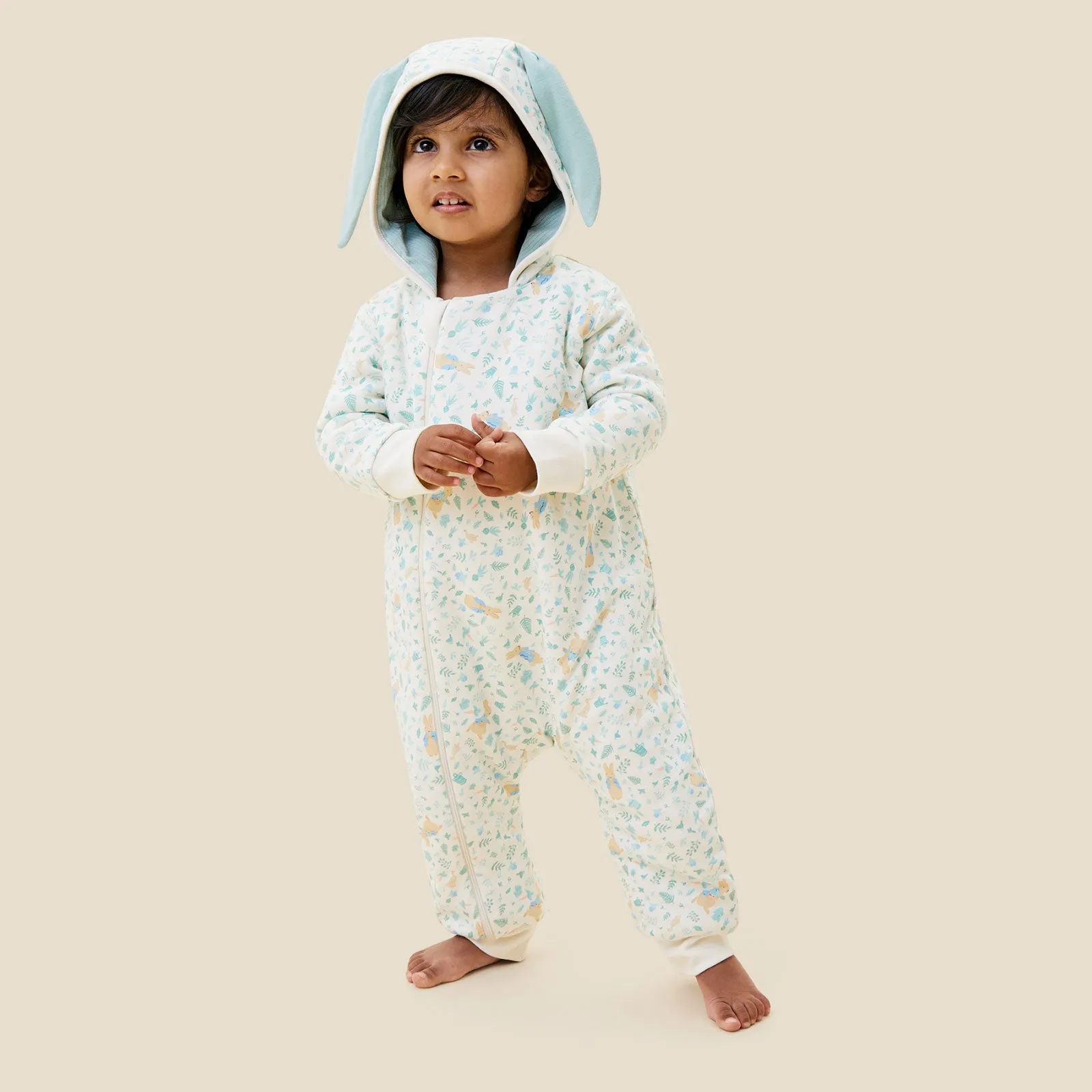 Peter Rabbit Pramsuit