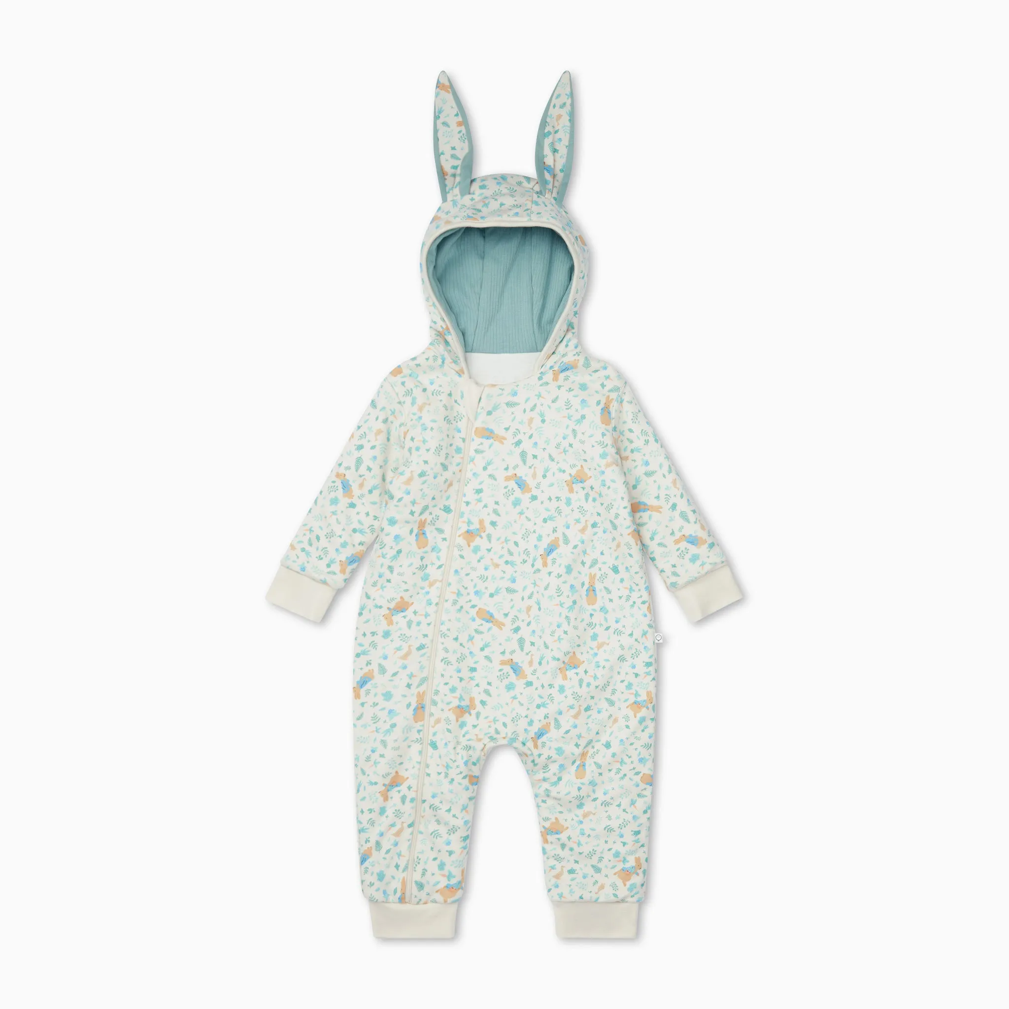 Peter Rabbit Pramsuit