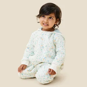 Peter Rabbit Pramsuit